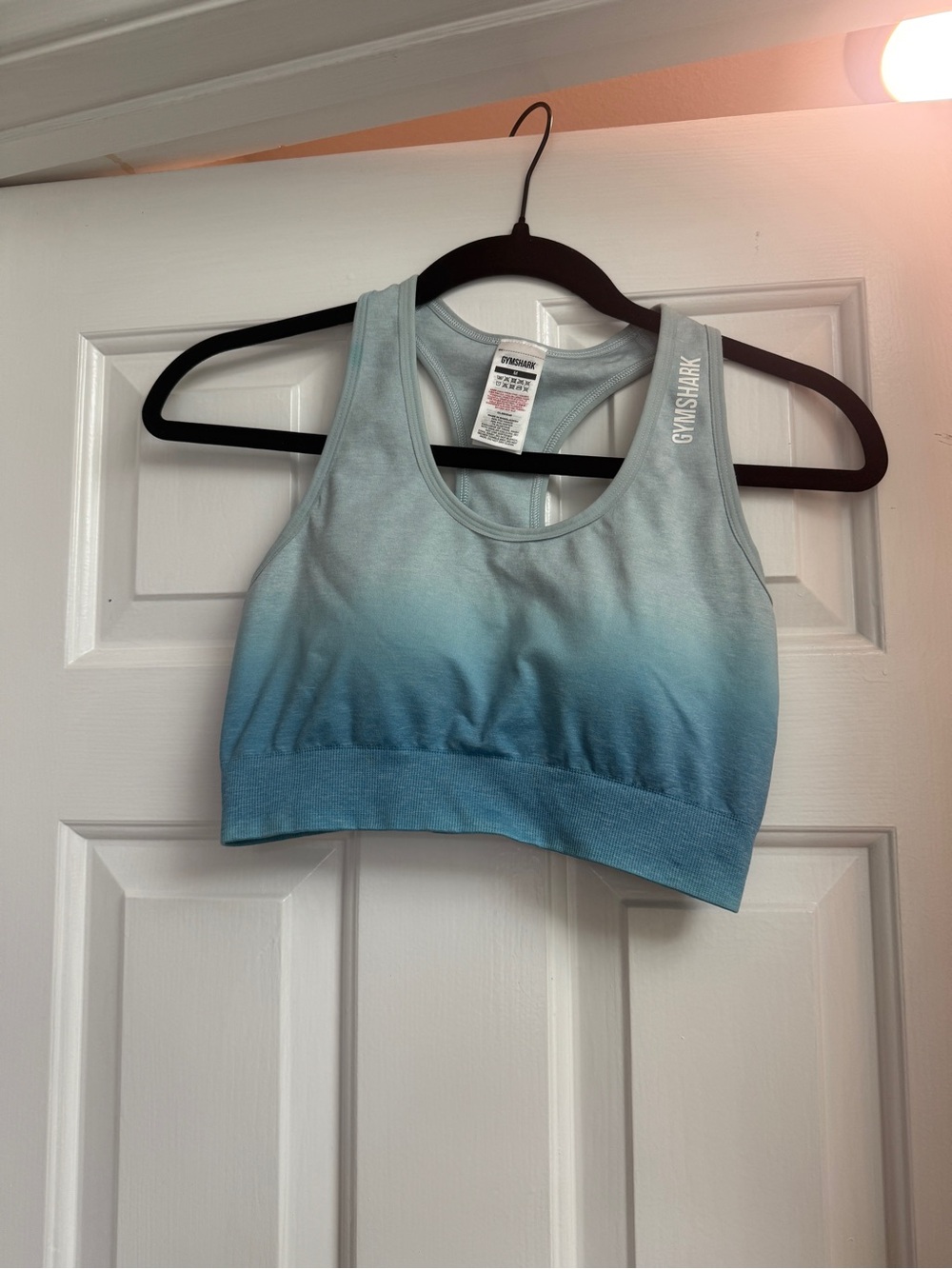 Gymshark Light-to-Deep Blue Ombre Seamless Sports Bra